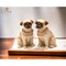 Ceramic Pug Dog Salt and Pepper Shakers, Home Decor Kitchen Ornament Gift Idea